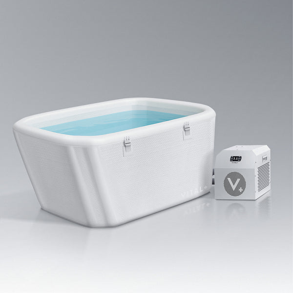 Arctic White